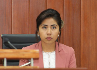 DESIGNAN A DIPUTADA MARÍA FÉLIX PLUMA FLORES PRESIDENTE DE LA MESA DIRECTIVA PARA EL PRIMER PERIODO ORDINARIO DE SESIONES DEL SEGUNDO AÑO DE EJERCICIO LEGAL DE LA LXIII LEGISLATURA LOCAL