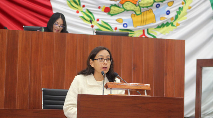 PARA VIGILAR LOS INGRESOS Y EL GASTO PÚBLICO EN LOS MUNICIPIOS, PROPONE MA. DEL RAYO NETZAHUATL CREAR ÓRGANOS INTERNOS DE CONTROL