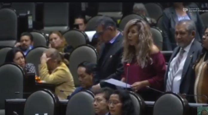 Desde la Cámara exhortan a gobernadores y secretarios garanticen libertad sindical