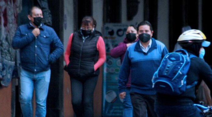 RECOMIENDA SESA CONSUMIR FRUTAS Y VERDURAS CON VITAMINA A Y C EN TEMPORADA DE FRÍO