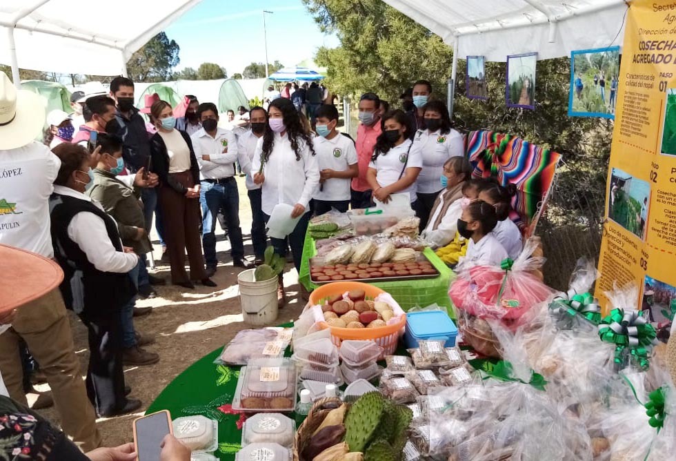 CULTIVO DE NOPAL, OPCIÓN EFECTIVA PARA PRODUCCIÓN AGRÍCOLA EN TLAXCALA