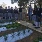 SEPE-USET RETOMA VISITAS GUIADAS PARA ALUMNOS AL INVERNADERO DE LA DEPENDENCIA