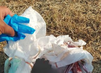 Conmoción en San Pablo del Monte: hallan feto envuelto en pañal en vía pública