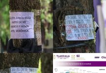 Advierten posible ecocidio en el Parque de la Juventud de Tlaxcala por nuevo proyecto estatal