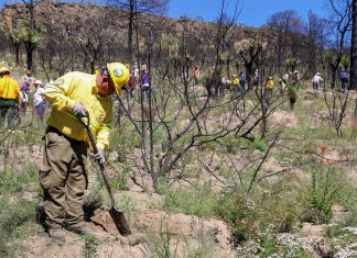 Gobierno Estatal ha invertido 9.9 mdp para recuperar Atltzayanca tras incendio de 2025.