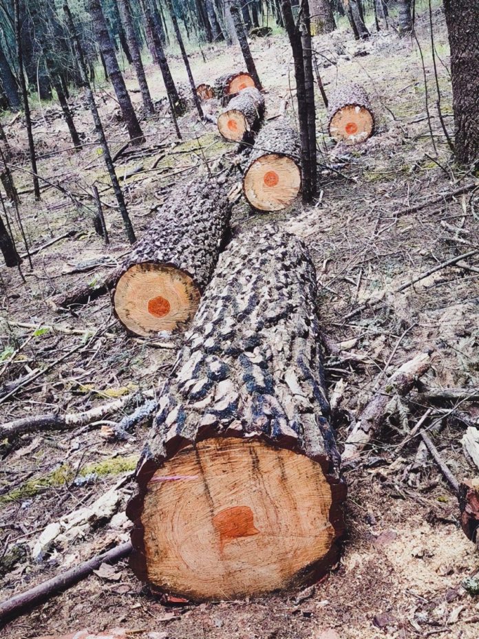 d73aecb9-9c40-49aa-86da-bc3ed3feb0e2