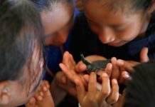 DEL ASOMBRO DE VOLAR A LA EMOCIÓN DE TOCAR EL MAR: 65 NIÑAS, NIÑOS Y ADOLESCENTES DEL CAS VIVEN UNA EXPERIENCIA INOLVIDABLE