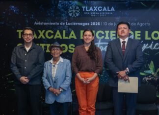 CONSOLIDA GOBIERNO LA EDUCACIÓN ARTÍSTICA Y PROFESIONALIZACIÓN CULTURAL CON UNA INVERSIÓN DE 83 MDP