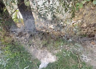 PROPAET ATIENDE DENUNCIA POR VERTIMIENTO IRREGULAR DE RESIDUOS DE CONSTRUCCIÓN EN EL RÍO ZAHUAPAN